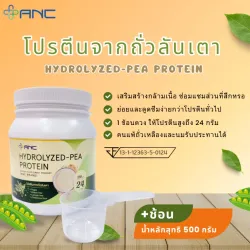 Hydrolyzed Pea Protein