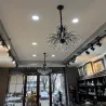 Regal Crystal Chandelier